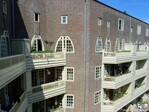 Achterzijde Spaardammerplantsoen.
              <br/>
              Gert-Jan Lobbes, 2020
